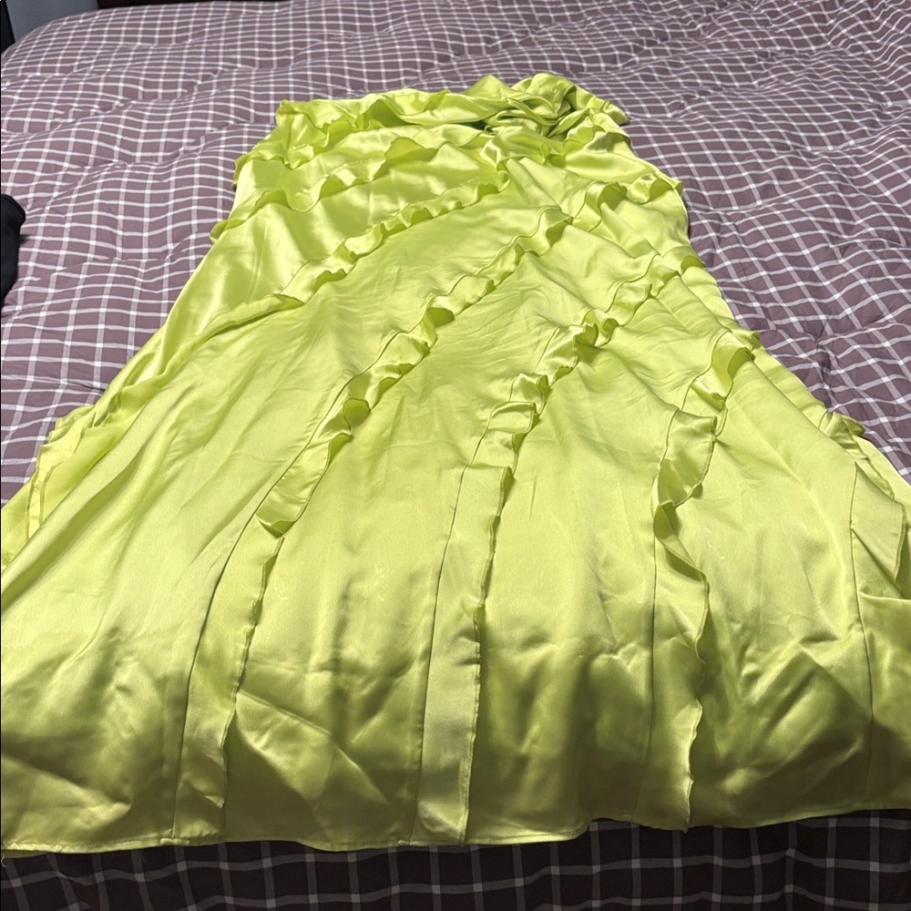 SHOW ME YOUR MUMU Romance Ruffle Dress - Picture 9 of 9